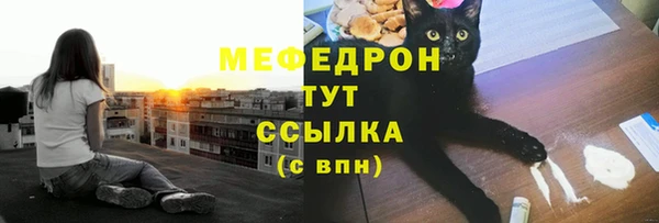 прущий лед Богданович